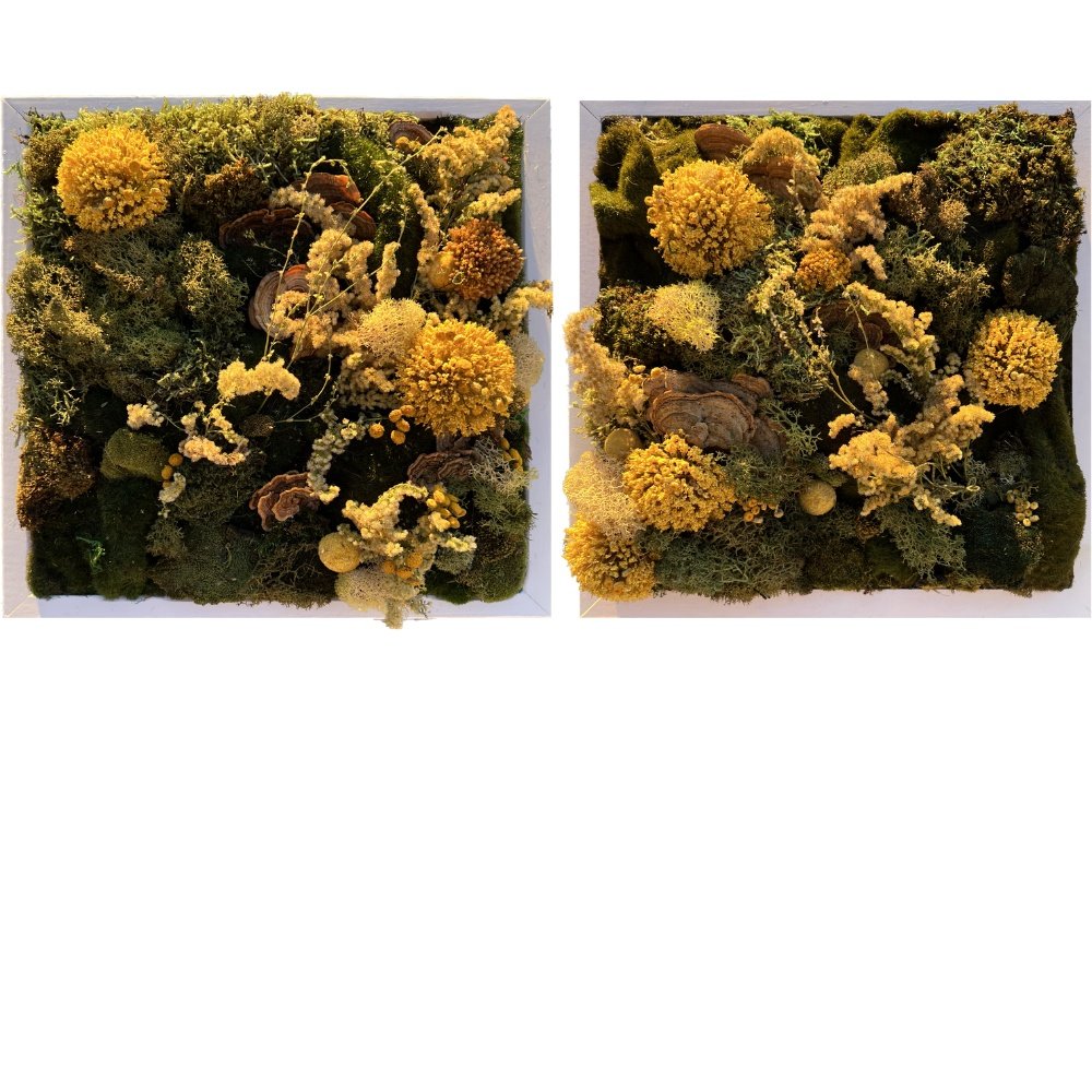 Fragmented Memory — ANGELA JUSTICE | FORESTHETIC